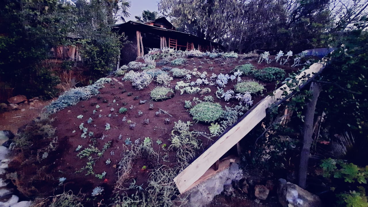 eco-6-hobbit 8